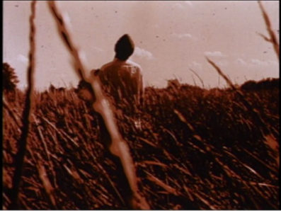 Fall, Deirdre Logue, LUX Film Farm