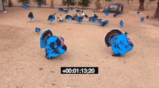 Film still from Basma Alsharif's Home Movies Gaza, 2013