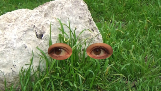 Still from a video by Vivienne Cohen
