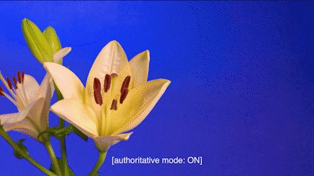 Two flowers on the left in contrast to a dark background. The subtitle writes, let's not disclose our true identity.
