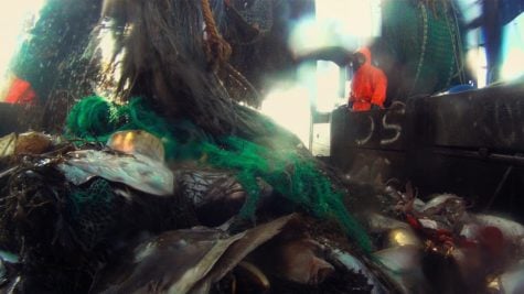 A blurry view of captured fish on a ship.