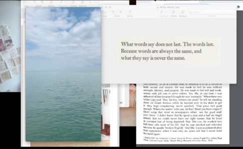 Layers of images, photos and text windows on a computer desktop. A vertical image of a tranquil ocean and cloudy sky is on the left. On the right a text file reads, What words say does not last. The words last. Because words are always the same, and what they say is never the same.