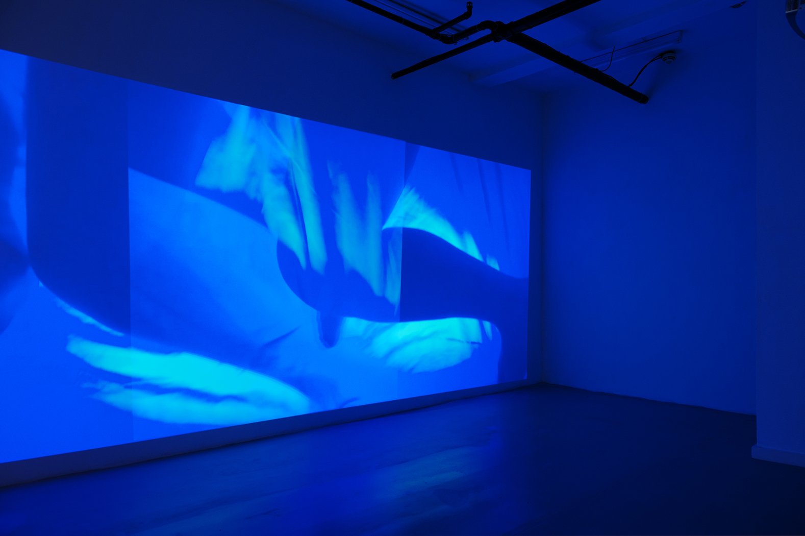 A large projection of abstract and wavy shapes in shades of blue fills the entire wall. The dark room is dimly lit by the blue glow of the projection.