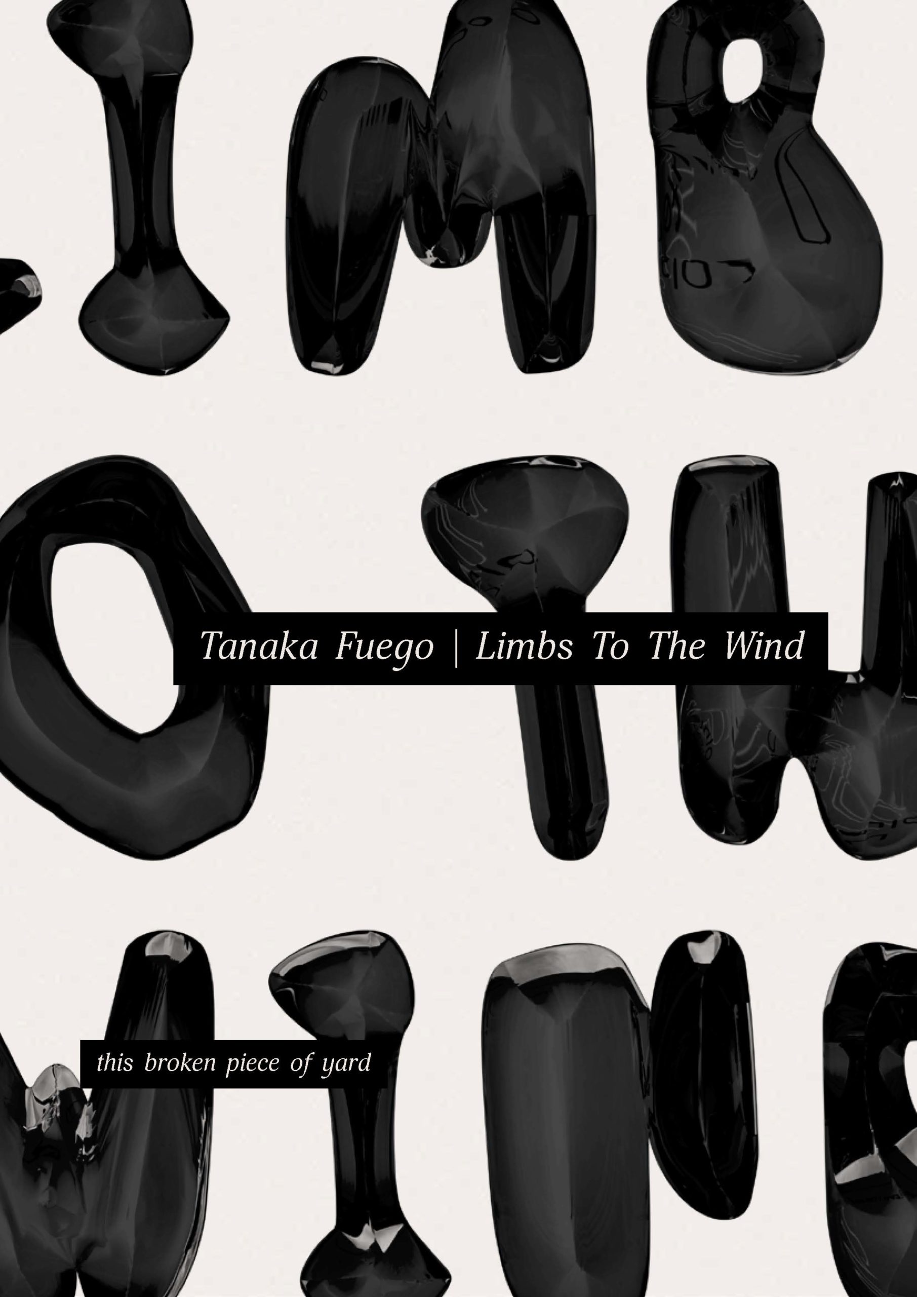 Alphabets are designed in black, three dimensional with erratically carved and shiny surfaces. At the center are captions “Tanaka Fuego, Limbs to the wind” and “this broken piece of yard” on the bottom left. 
