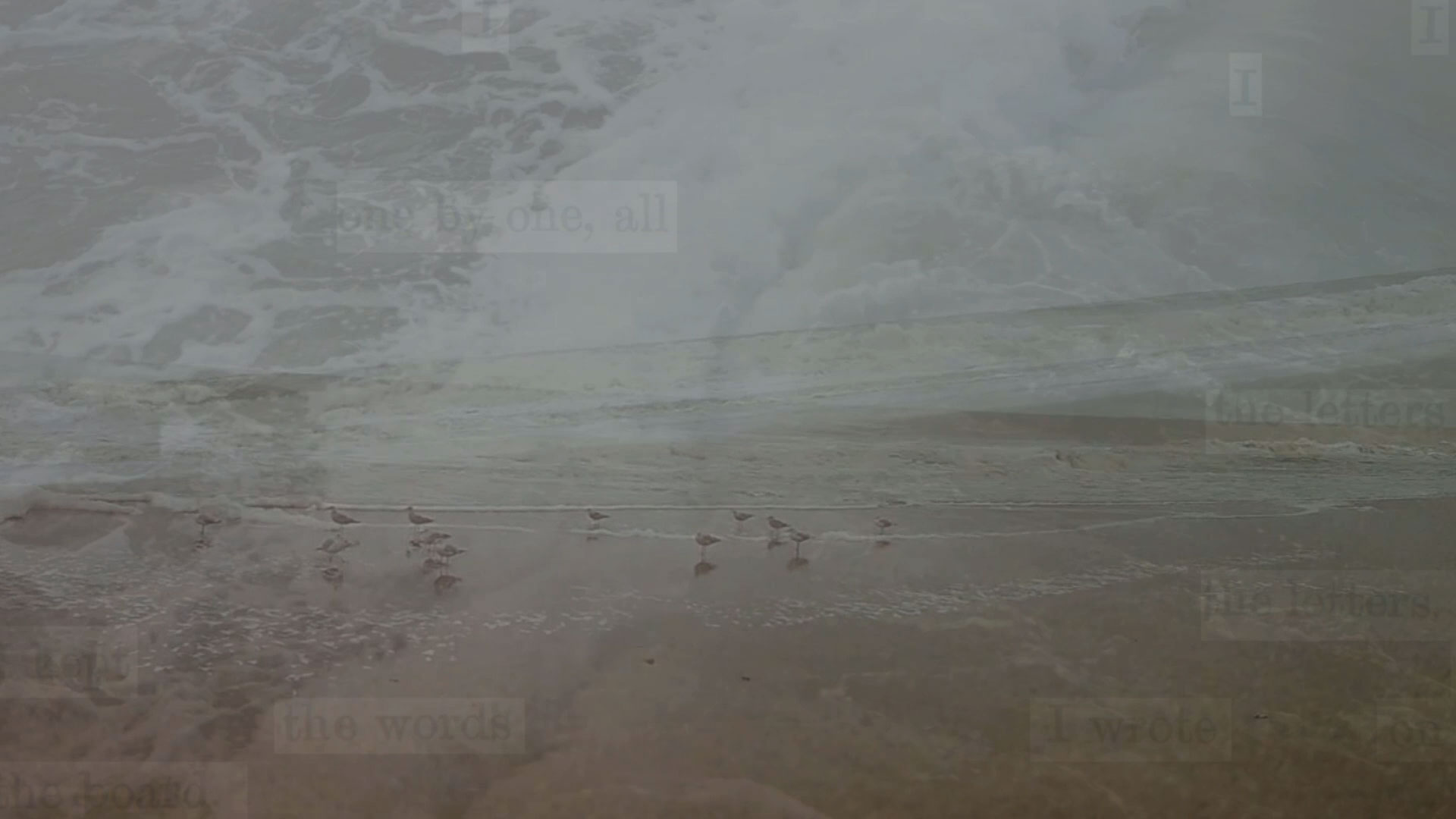 A group of birds populate a calm seashore. The scene is overlaid with a close up of sea forms from wave heating the sand. A faint layer of letter cutouts are visible here and there.