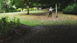 In a green park, a man reaches his hand to touch a thin birch tree. Brown fallen leaves create a gradient swirl on grass. In the fore is dark soil scattered with leaves.