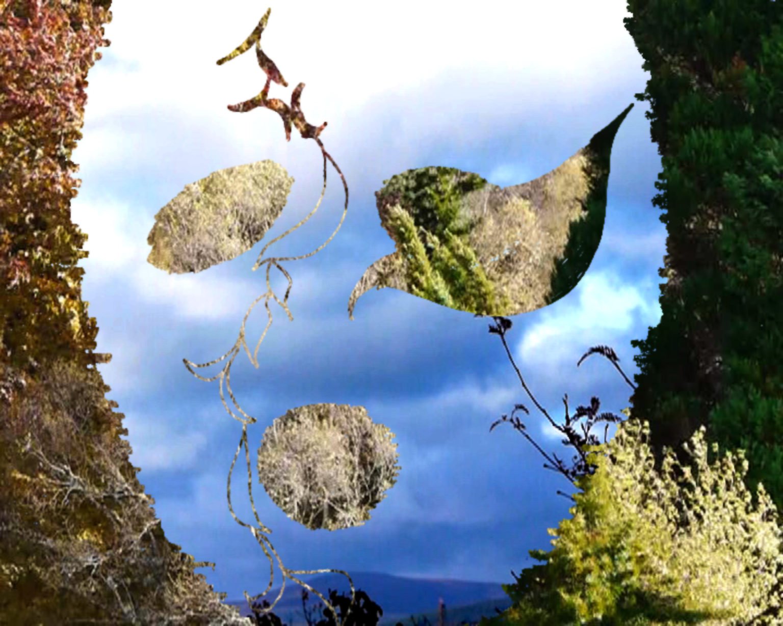Cutouts of a forest in various shapes are collaged with a blue sky.