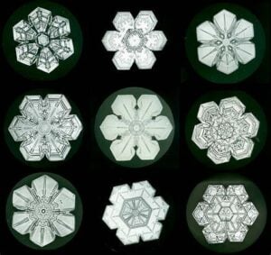 black and white images of close ups of snow flake patterns