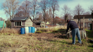 image from Simon Says/Dadda. An allotment in winter a Black man wearing a jacket and flat cap hoes the soil on the left is a small shed and some plastic barrels.