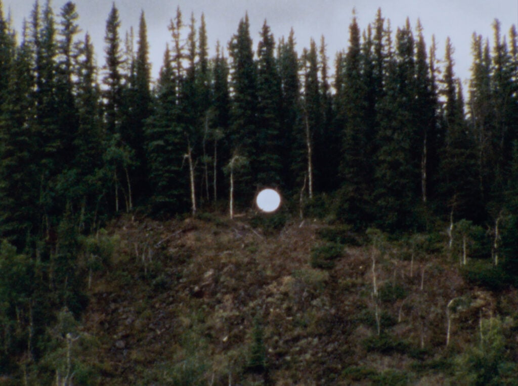 A forest hilltop at dusk. In the center of the frame of tall fir trees is a white disc nestled at their roots, resembling the moon.