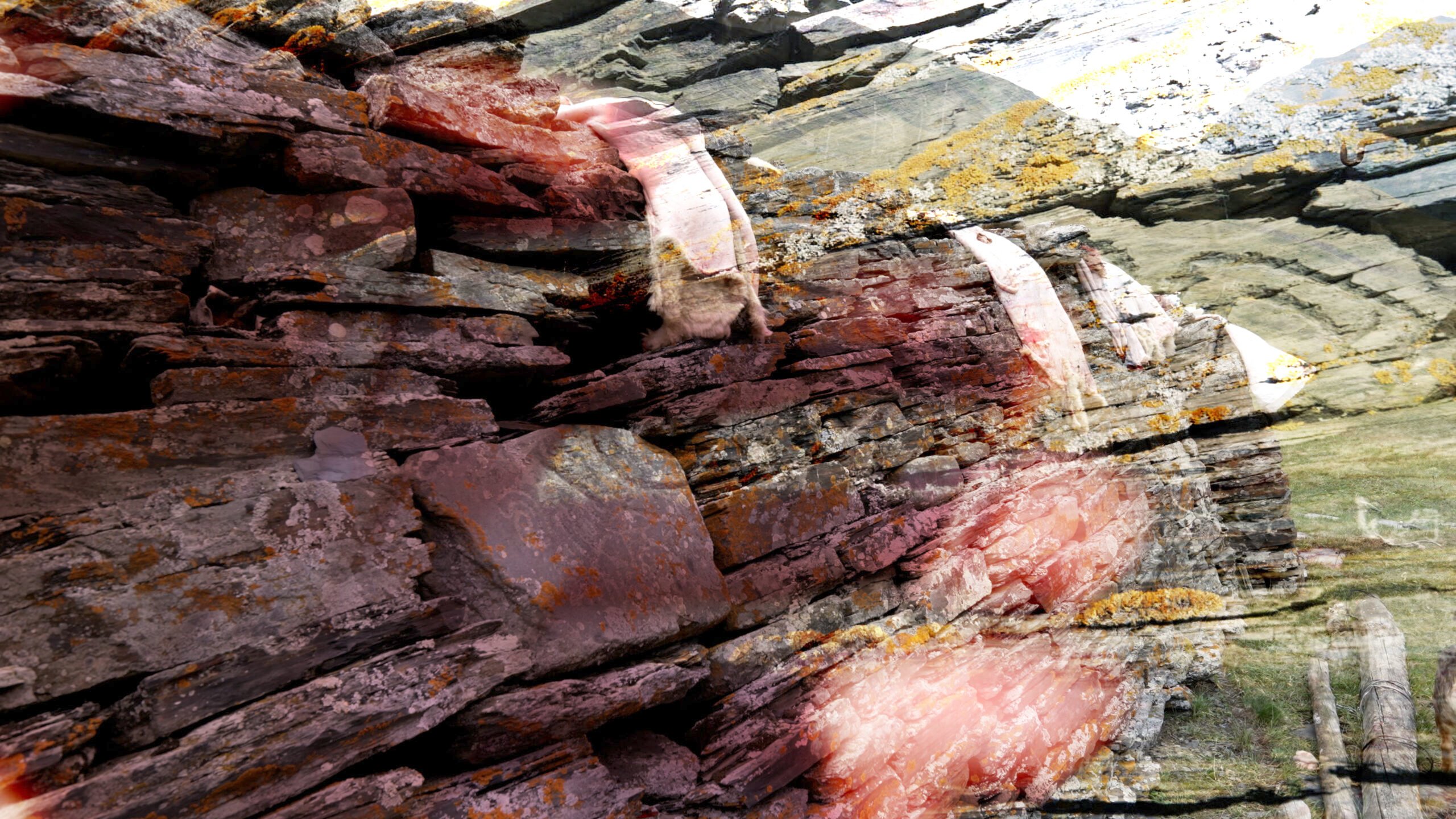 A close- up of grey, jagged sedimentary rock. The image has a double exposure effect, with the rock overlaid by a grassy mountain and red tones.