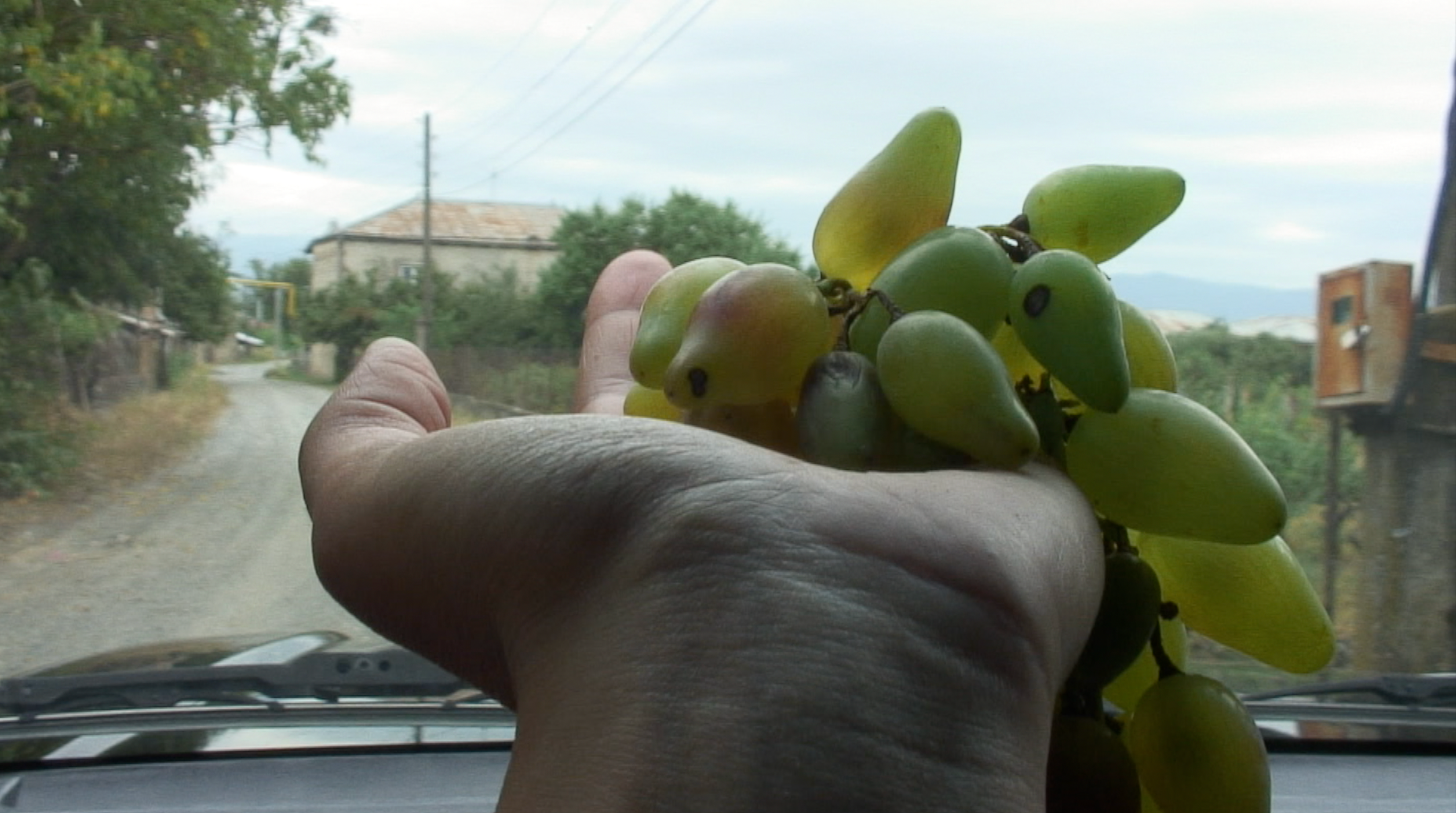 A close-up of a hand outstretched across a car dashboard, its palm open and holding a bunch of grapes. In the background, a dirt road in the countryside is blurred out of focus.