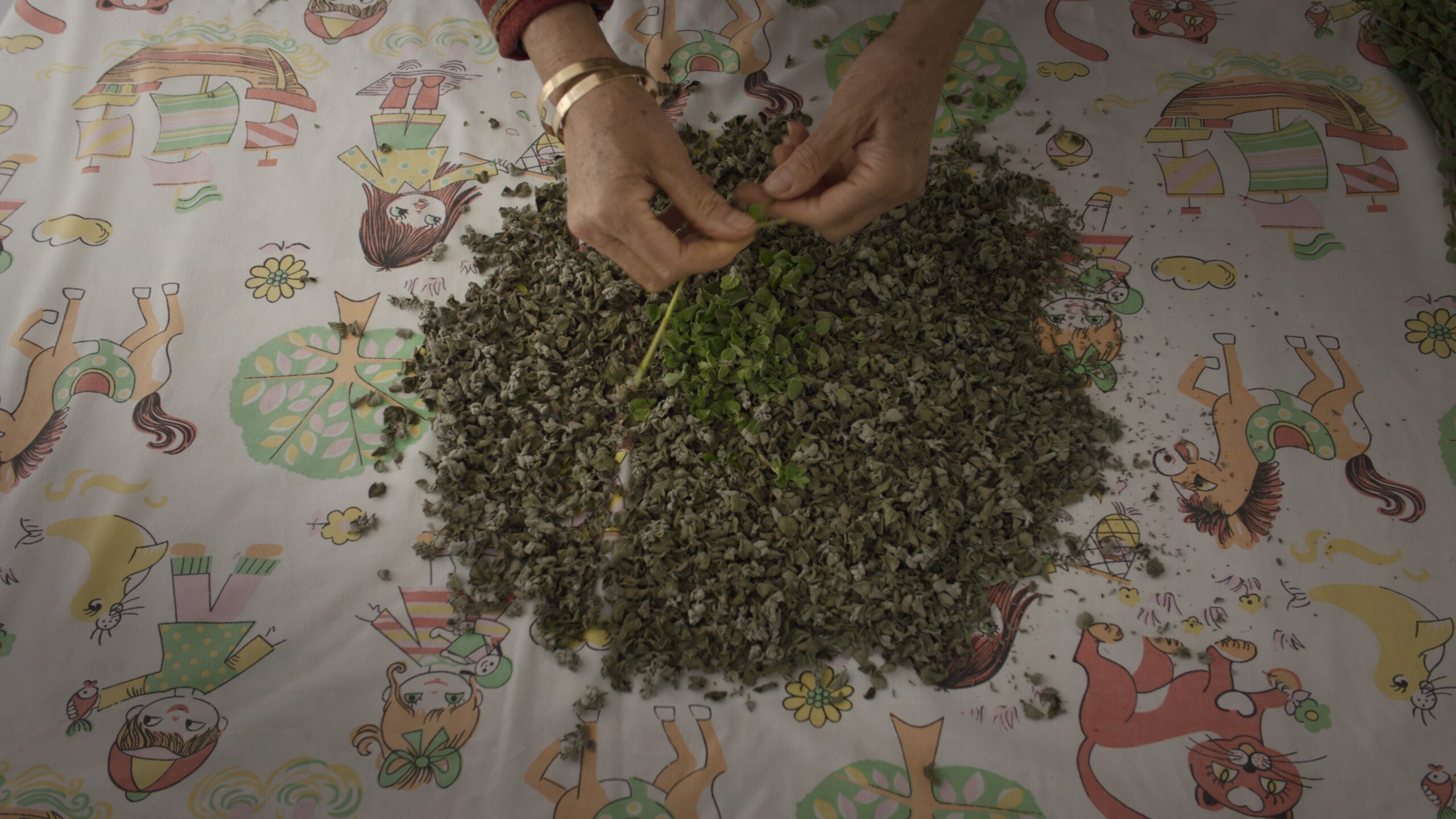 A pair of elderly hands holding fresh za'atar above a mound of dried za'atar on a tablecloth with illustrations of animals, children, and trees.
