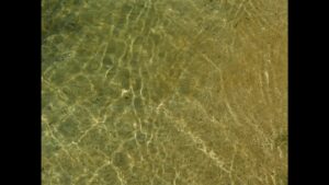 Image of Reflective Water