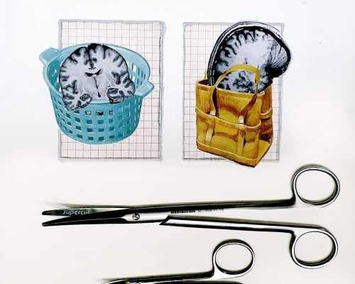 Collage of brain image cutouts rest in a basket and a bag, with two metal scissors positioned below