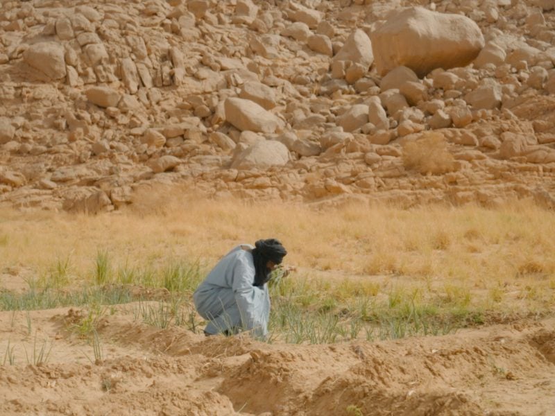 A person wearing a grey outfit and a black turban squats in the middle of a sandy ground with patches of green and yellow grass. The background is a steep, rugged rocky slope