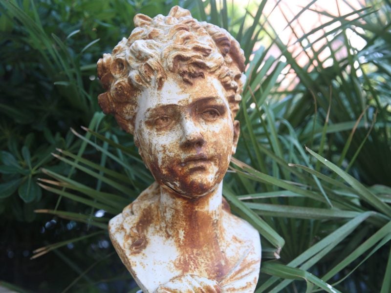 A marble bust of a woman with curly hair is covered by rust. Behind is a bunch of fresh foliage.