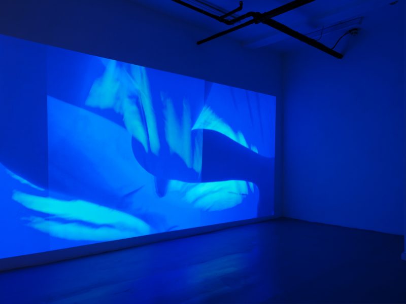A large projection of abstract and wavy shapes in shades of blue fills the entire wall. The dark room is dimly lit by the blue glow of the projection.