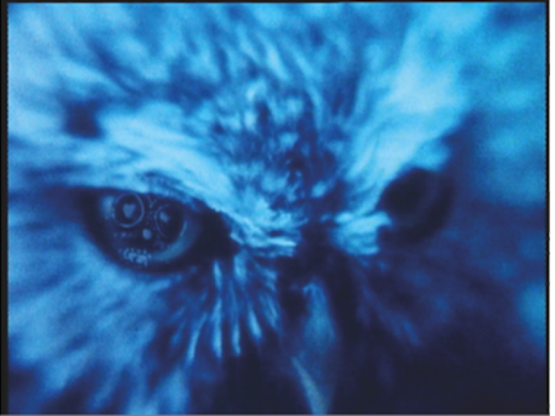 The Owl's Legacy by Chris Marker, 1989. Courtesy of The Otolith Group
