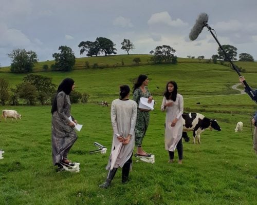image from Jasleen Kaur: Gut Feelings Meri Jaan, five asian women stand in a field surrounded by cows, next to them is a person holding a boom mic, they appear taking part in a film shoot