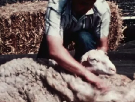Sheepman And The Sheared – Part 1 Sheep & Part 2 Sheepman - Mike Leggett