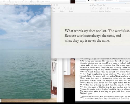 Layers of images, photos and text windows on a computer desktop. A vertical image of a tranquil ocean and cloudy sky is on the left. On the right a text file reads, What words say does not last. The words last. Because words are always the same, and what they say is never the same.