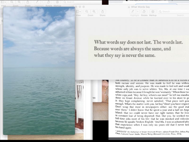 Layers of images, photos and text windows on a computer desktop. A vertical image of a tranquil ocean and cloudy sky is on the left. On the right a text file reads, What words say does not last. The words last. Because words are always the same, and what they say is never the same.