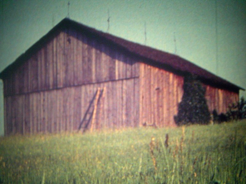 Still from Larry Gottheim's Barn Rushes, 1971.