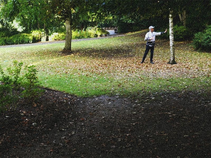 In a green park, a man reaches his hand to touch a thin birch tree. Brown fallen leaves create a gradient swirl on grass. In the fore is dark soil scattered with leaves.
