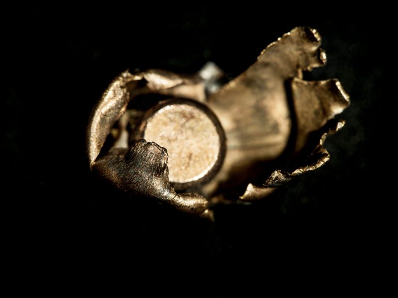A ruptured metal bullet case in an extreme close up. The torn edges are accentuated by lights reflected on the contoured surface.