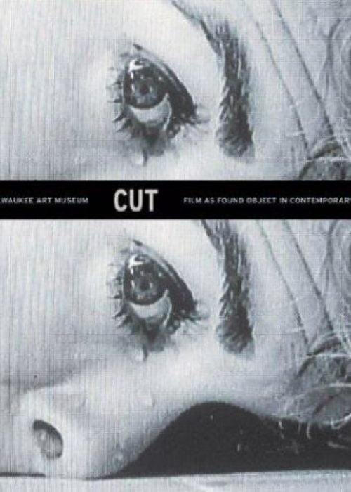 Cut: Film as Found Object in Contemporary Video