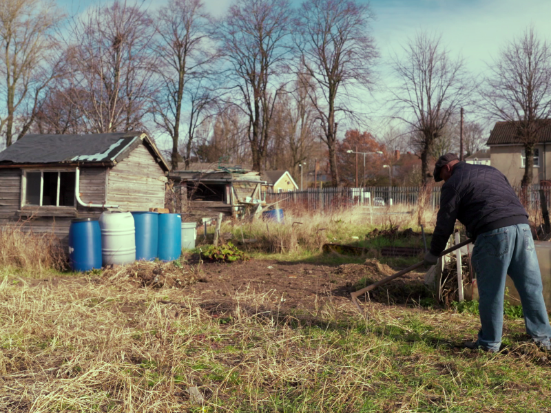 image from Simon Says/Dadda. An allotment in winter a Black man wearing a jacket and flat cap hoes the soil on the left is a small shed and some plastic barrels.